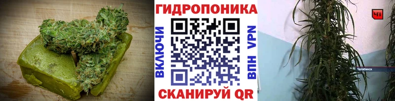 Cannafood марихуана  KRAKEN как войти  Белая Холуница 