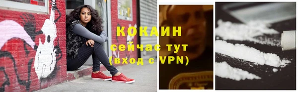 крисы Аркадак