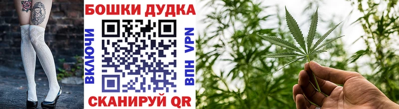 Бошки марихуана THC 21%  Белая Холуница 